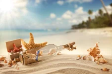 the-beach-shore-sand-palm-trees-the-ocean.webp