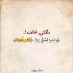FB_IMG_1595874331823.webp