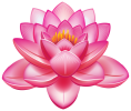 Lotus_Flower_PNG_Clipart-168.png