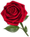 Beautiful_Red_Rose_PNG_Clipart-162.png