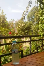20200916_095217-1.webp