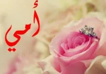 images (2).webp