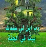 images.webp