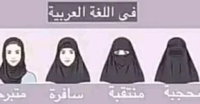 FB_IMG_16046567611338468.webp FB_IMG_16046567611338468.webp