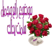 1607613849381.webp