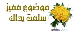 1607854766981.webp