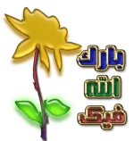 1609409380179.webp