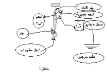 1609689746882.webp