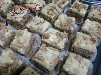 Photo-0473.webp