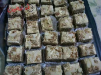 Photo-0470.webp