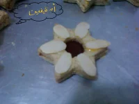 Photo-0466.webp