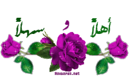 F9T23781.gif