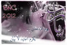258076914.webp