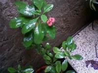 Photos-0023.webp