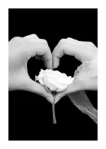 035bd13bb3.webp
