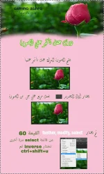PicsArt_07-26-03.35.54.webp