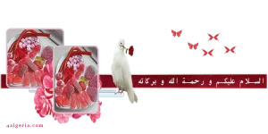 حلويات.png حلويات.png