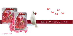 حلويات 1.png حلويات 1.png