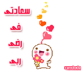 13582077846.gif