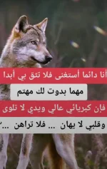 ٢٠٢١٠٣٠٥_١٩٥٣٤١.webp