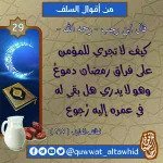 IMG-20210416-WA0018.webp