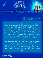 IMG_20210407_133752.webp