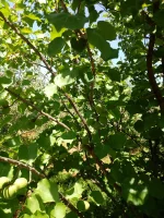 20210420_130525.webp