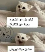 Screenshot_5.webp