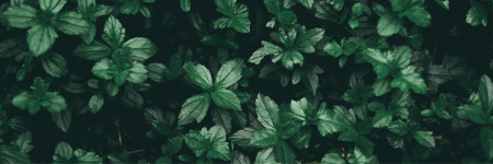 السلام عليكم عائلتنا اللماوية.gif السلام عليكم عائلتنا اللماوية.gif