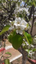 20190411_134828.jpg