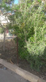 20210503_072826.webp