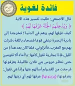 1621935858682.webp