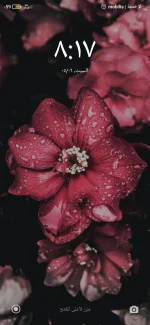 Screenshot_٢٠٢١-٠٦-٠٥-٠٨-١٧-٢٣-٤٥١_lockscreen.webp