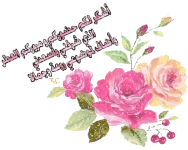 1623338880130.webp