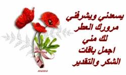 1624120229830.webp