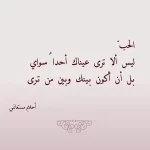 1624556527821.webp