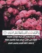 1625251568696.webp