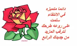 1626118708278.webp