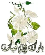 1626255745947.webp