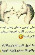 ٢٠٢١٠٧١٦_١٦١٢٢١.webp