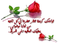 1626690516223.webp