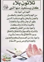 1627718909282.webp