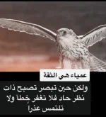 ٢٠٢١٠٨٠٧_١٨٥٠٣٠.webp