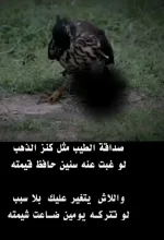٢٠٢١٠٨٠٩_٠٠٢٣١٥.webp