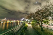 DAKEEL_JAPAN.webp