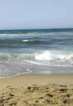 IMG-3414a25e66c5e86561f72b9ed9f75aa3-V-1.webp