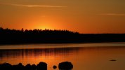 forest_silhouettes_lake_220158_3840x2160.jpg