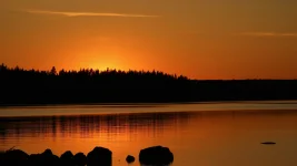forest_silhouettes_lake_220158_3840x2160.webp