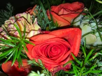 IMG_5365.webp