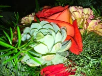 IMG_5368.webp